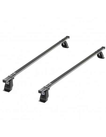 bagaznik-belki-dachowe-nissan-nv250-1-i