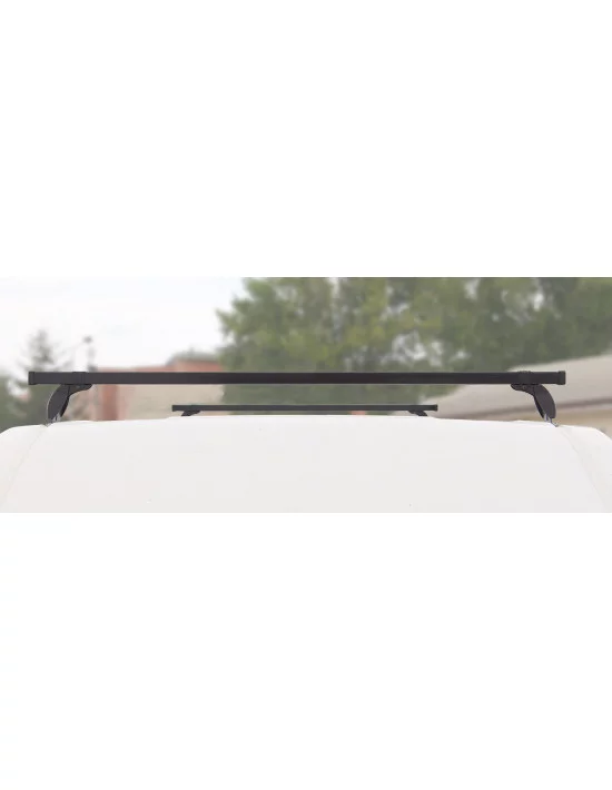 bagaznik-belki-dachowe-nissan-nv250-1-i