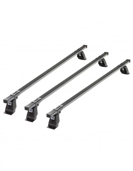 bagaznik-belki-dachowe-peugeot-partner-3-iii