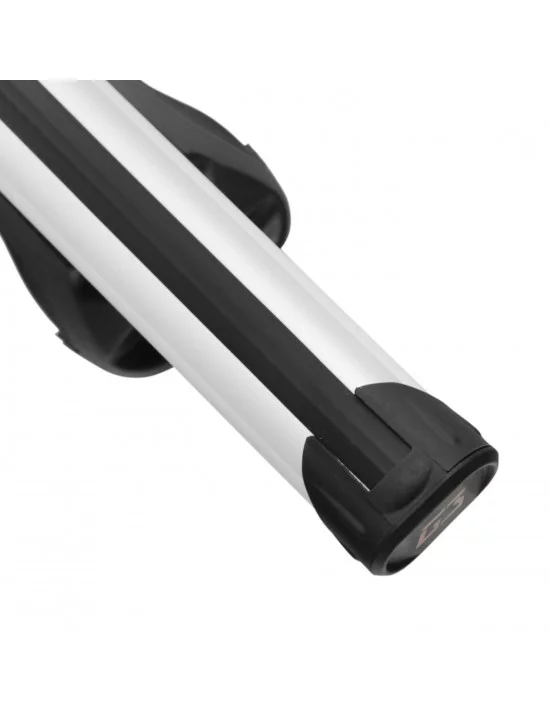 bagaznik-belki-dachowe-pontiac-montana