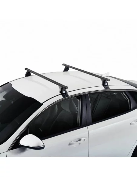 bagaznik-belki-dachowe-citroen-c3-iii-3