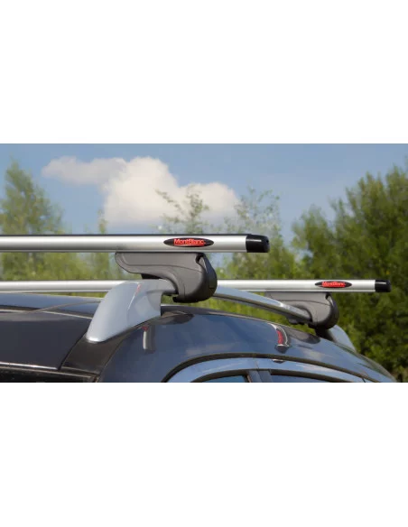 bagaznik-belki-dachowe-citroen-c4-i-1