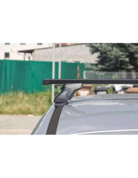 bagaznik-belki-dachowe-citroen-c4