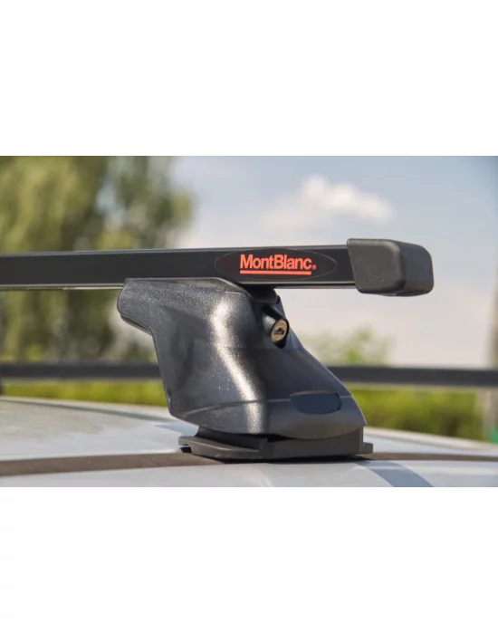 bagaznik-belki-dachowe-ford-c-max-mk1-i