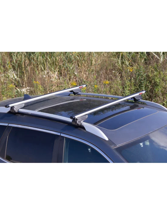 bagaznik-belki-dachowe-honda-cr-v-i-1