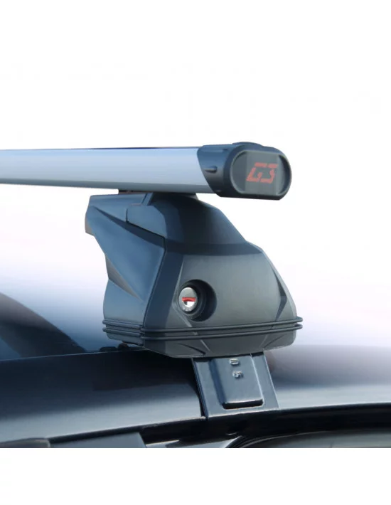 bagaznik-belki-dachowe-smart-forfour-w453