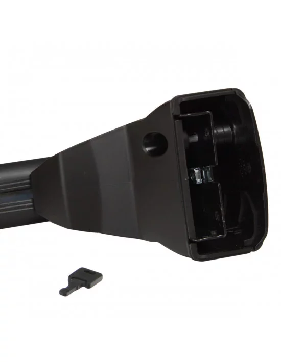 bagaznik-belki-dachowe-smart-forfour-w453