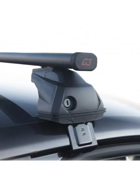 bagaznik-belki-dachowe-smart-forfour-w453