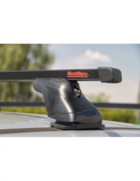 bagaznik-belki-dachowe-renault-grand-scenic-3-iii