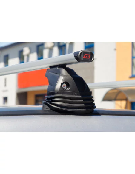 bagaznik-belki-dachowe-renault-grand-scenic-2-ii