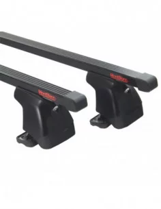 bagaznik-belki-dachowe-seat-leon-i-1m1
