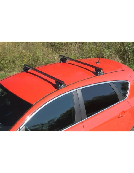 bagaznik-belki-dachowe-opel-vectra-c