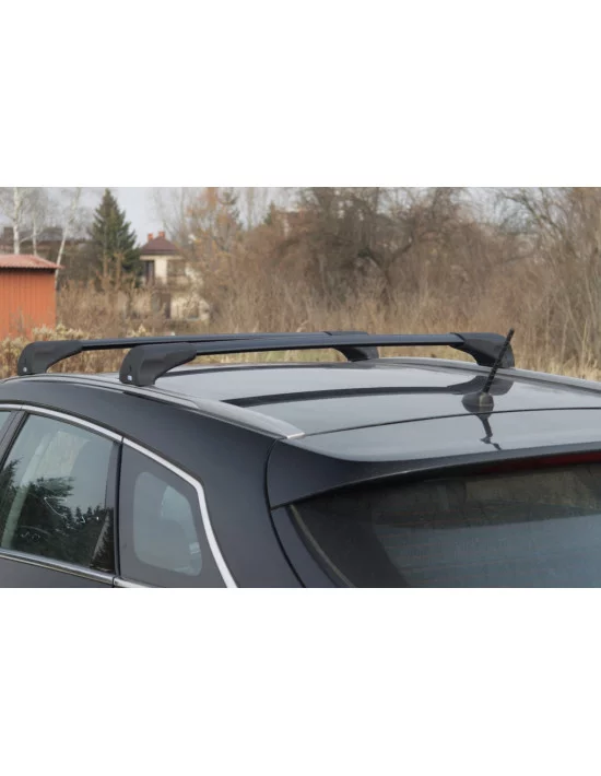 bagaznik-belki-dachowe-bmw-x1-f48