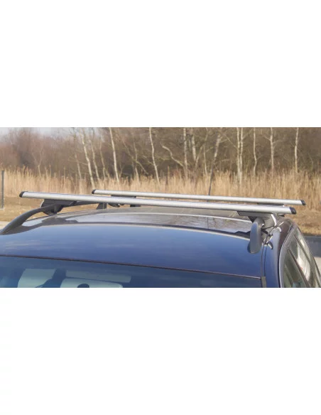 bagaznik-belki-dachowe-toyota-rav-4-3-iii