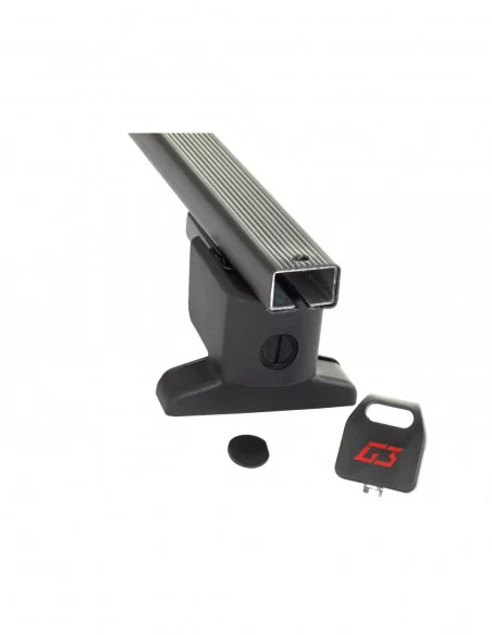 bagaznik-belki-dachowe-nissan-primastar