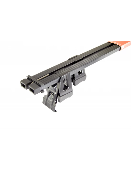 bagaznik-belki-dachowe-renault-twingo-3-iii