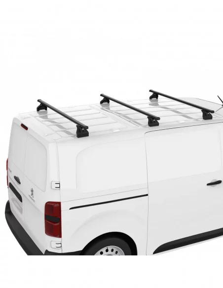 bagaznik-belki-dachowe-citroen-berlingo-2-ii