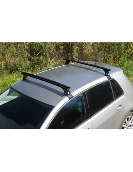 Bagażnik belki dachowe do Renault Scenic