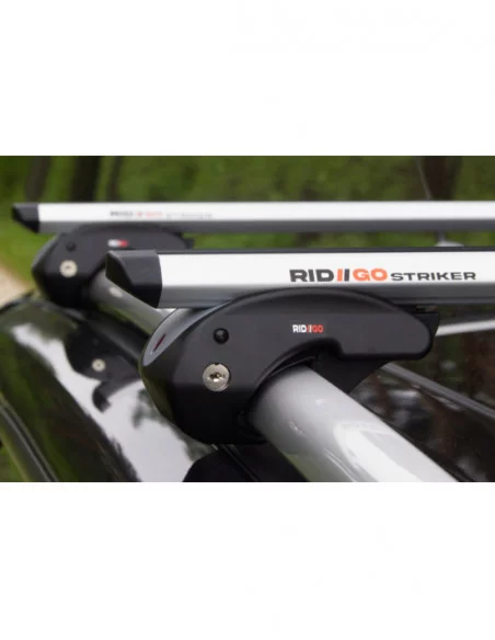 Bagażnik belki dachowe do Seat Exeo