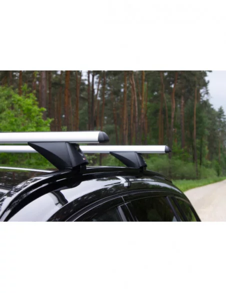 Bagażnik belki dachowe do Audi Q8