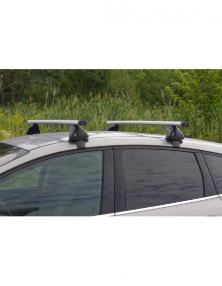 Bagażnik belki dachowe do Citroen E-C4