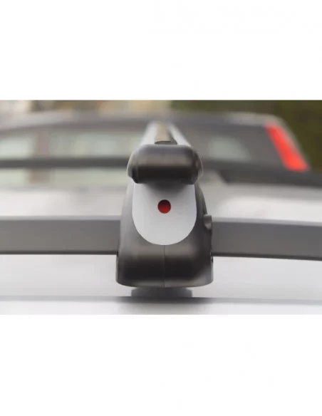 Bagażnik belki dachowe do Citroen C3