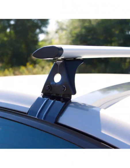 Bagażnik belki dachowe do Citroen C4 X